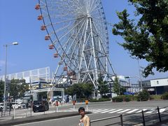 -大阪海游馆
