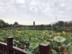 -西海子公园