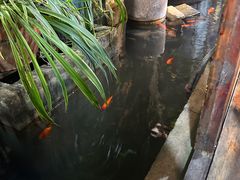 -夹夹大·蟹蟹大排档(财富又一城店)