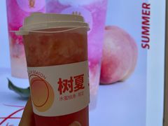 -树夏(金楠天街店)