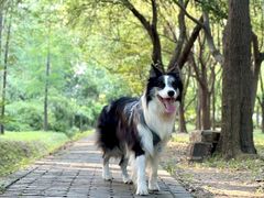 -蜀冈西峰生态公园