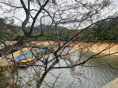 -广州市流溪河国家森林公园