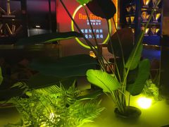 -黑森林酒吧(新亚洲店)