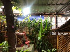 -Jungle Kitchen