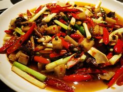 -院8里·小聚园老川菜(九眼桥店)