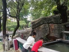 -碧江金楼