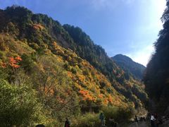 -孟屯河谷景区
