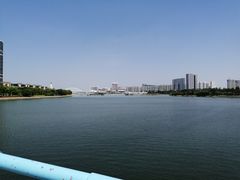 -五缘湾湿地公园