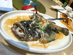 -百年银屏蚝烙·潮汕菜·非遗(乐山店)