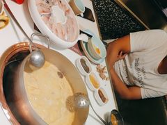 -洪氏嗨捞·猪肚鸡火锅(阳光天地店)