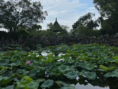 -无锡蠡湖国家湿地公园-蠡园