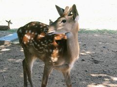 -杭州野生动物世界