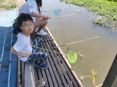 -同銮特种养殖场·龙虾垂钓