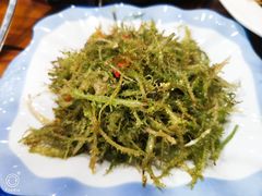 凉拌鹿角菜-聚雅美食