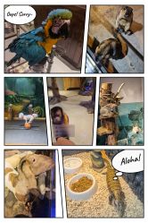 -未来动物城动物主题公园(大悦城店)