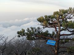 -泰山风景名胜区
