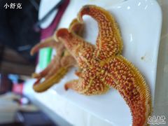 海星-海岛渔村大酒店(云霄路店)