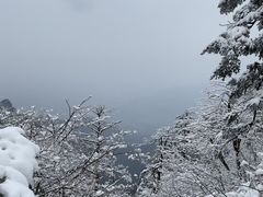 -峨眉山风景名胜区