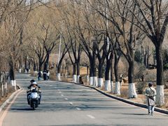 -丁香湖公园