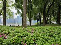 -公平路渡口(轮渡站)