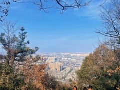 -惠山国家森林公园