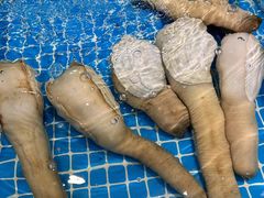 -三亚火车头万人海鲜广场