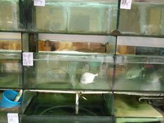 -金生美食(贵州路店)