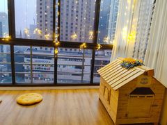 -Husky Go! 哈士奇体验馆·宠物咖啡厅狗咖