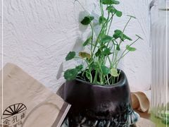 -金孔雀德宏傣味餐馆(魏公村店)