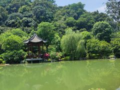 -云溪植物园