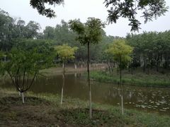-东郊湿地公园