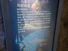 -南昌融创海世界