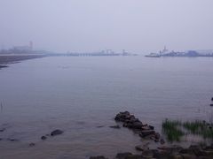 -吴淞炮台湾湿地森林公园烧烤区