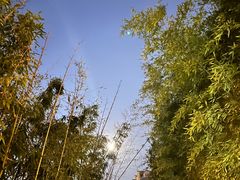 -景德镇陶阳里历史文化旅游区