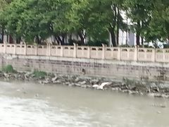 -温江公园