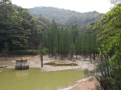 -广州市帽峰山景区