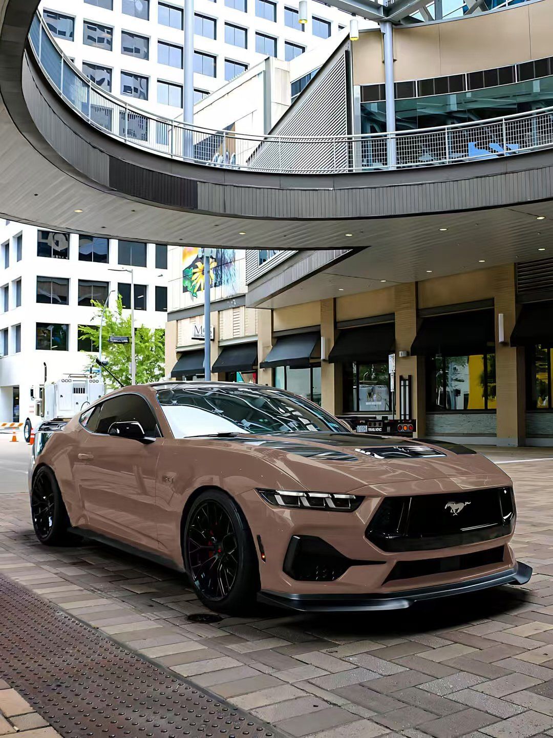 我一女的也觉得野马帅!这正常嘛