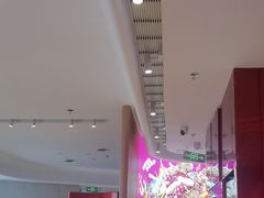 -老板恋上鱼(恒隆广场店)