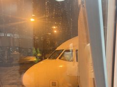 -石家庄正定国际机场-T2航站楼