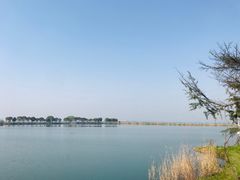 -苏州太湖湖滨国家湿地公园