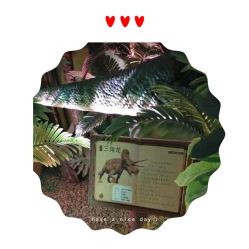 -恐龙探索乐园(磁器口店)