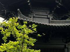 -荔湾湖公园