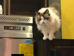 -咖法森林·咖啡  酒吧(天河店)