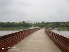 -昆山城市生态森林公园