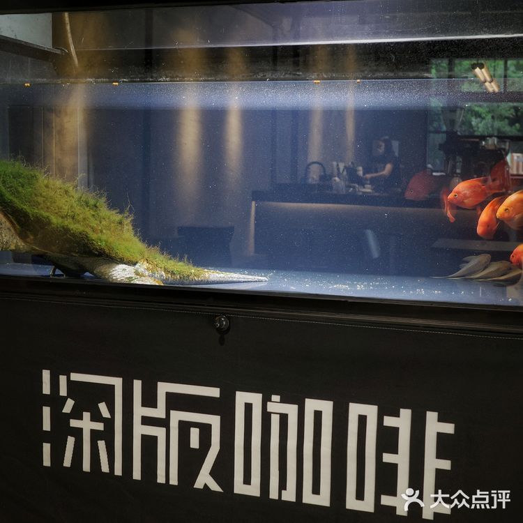 城市咖啡角落随性一刻🐢与保安室巨型龟的午后