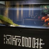 城市咖啡角落随性一刻🐢与保安室巨型龟的午后