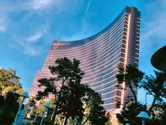 -拉斯维加斯永利酒店