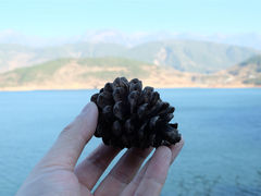 -冕宁灵山寺