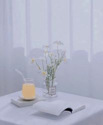 -Lily纤美·科技减脂中心