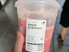 超大杯多肉桃李-喜茶(北京三里屯太古里店)